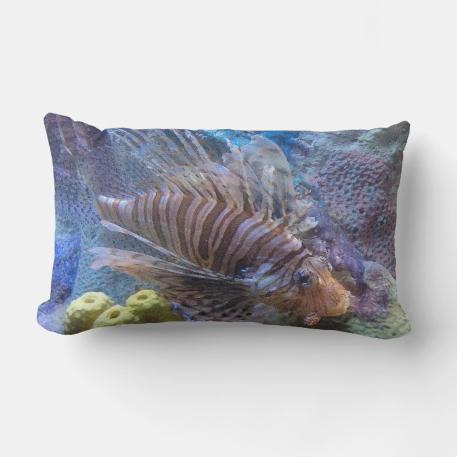 Coussin Rectangle Rascasse volante (Recto)