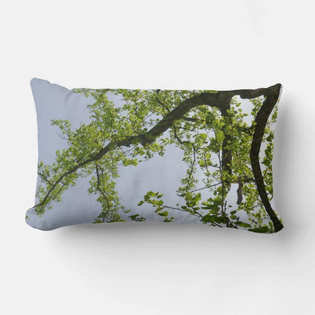 Coussin Rectangle Recherche de l'arbre du peuplier de printemps (Recto)