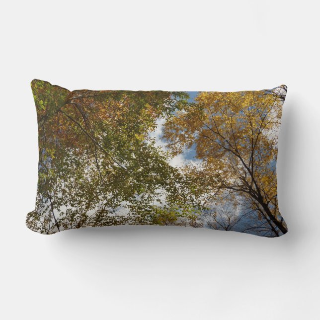 Coussin Rectangle Regard sur les feuilles d'automne II Automne Natur (Recto)