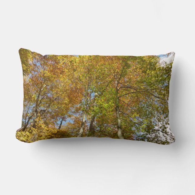 Coussin Rectangle Regard vers les feuilles d'automne III Feuillage c (Recto)