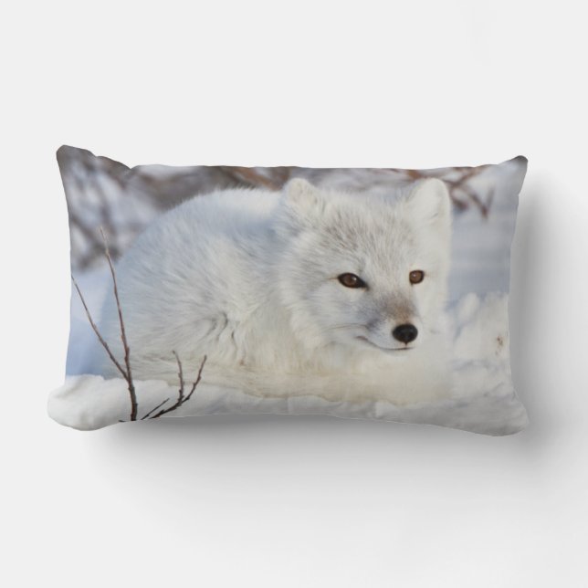 Coussin Rectangle Renard arctique en hiver (Recto)