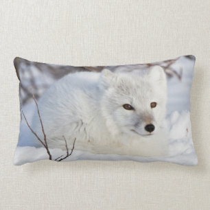 Coussin Rectangle Renard arctique en hiver