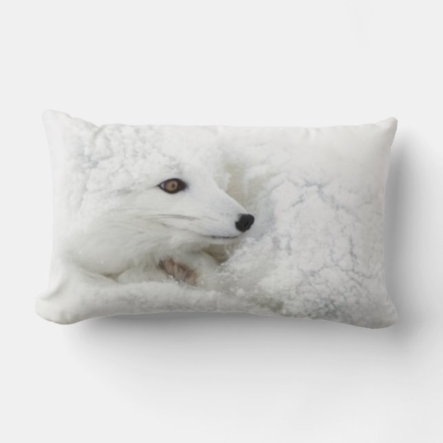 Coussin Rectangle Renard arctique recroquevillé en hiver (Recto)
