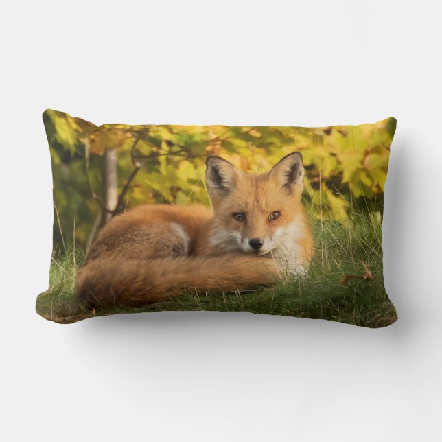Coussin Rectangle Renard d'automne (Recto)