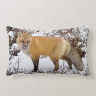Coussin Rectangle Renard rouge dans la neige en hiver