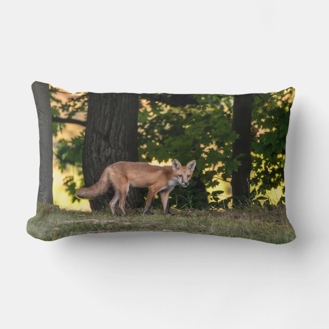 Coussin Rectangle Renard Rouge Soleil Et Ombre (Recto)