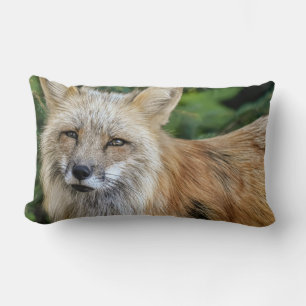 Coussin Rectangle Renard sauvage