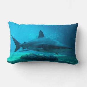 Coussin Rectangle Requin cendré (Carcharhinus Obscurus), Ushaka