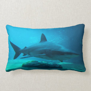 Coussin Rectangle Requin cendré (Carcharhinus Obscurus), Ushaka