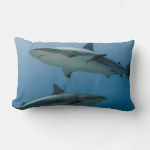 Coussin Rectangle Requin des récifs des Caraïbes