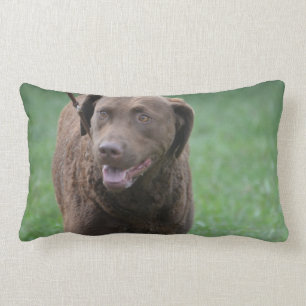 Coussin Rectangle Retriever de la Baie de Chesapeake
