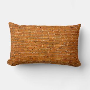 Coussin Rectangle revêtement Brown des murs en argile