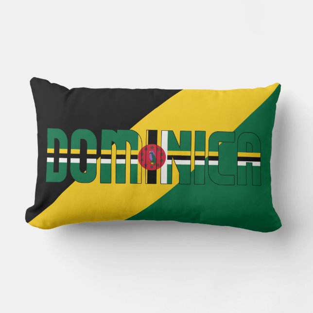 Coussin Rectangle Rêvez en couleur avec le drapeau patriotique de la (Recto)