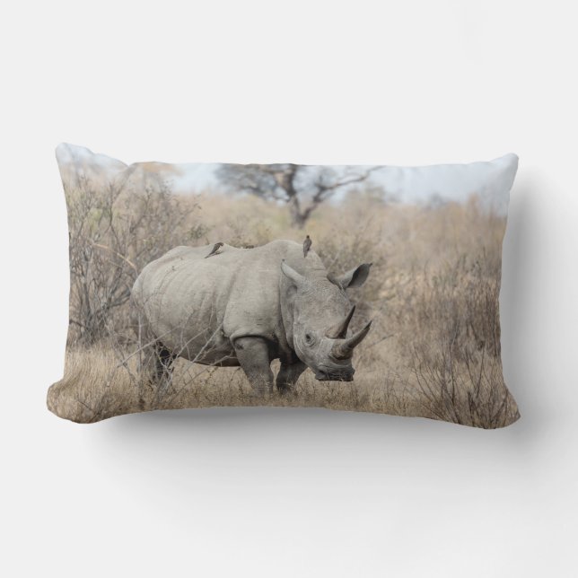 Coussin Rectangle Rhino blanc (Recto)