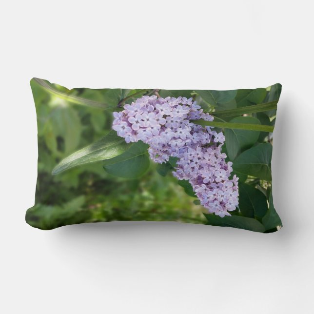 Coussin Rectangle rideau lilas (Recto)
