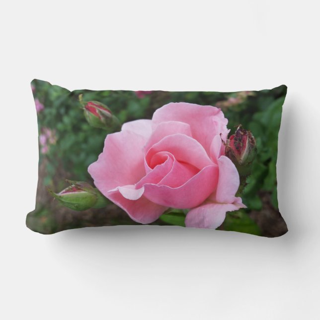Coussin Rectangle rose (Recto)