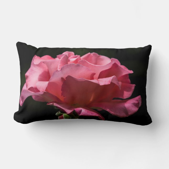 Coussin Rectangle Rose de rose sur le carreau noir (Recto)