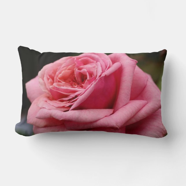 Coussin Rectangle Rose rose I Jolie photo florale (Recto)