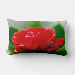 Coussin Rectangle Rose rouge du matin recouverte de gouttes de rosée