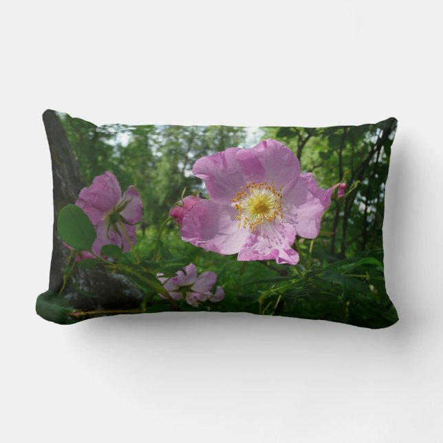 Coussin Rectangle Roses roses sauvages en Alaska (Recto)
