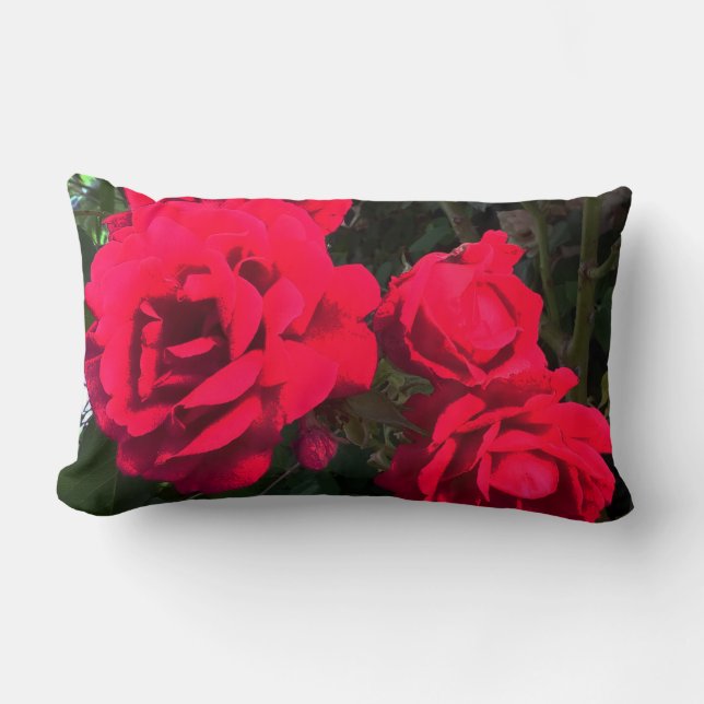 Coussin Rectangle Roses Rouges en Fleur  (Recto)