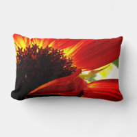Rouge Orange Gerbera Daisy Photo Bold Modern Desig