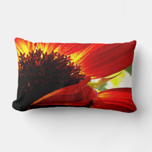 Coussin Rectangle Rouge Orange Gerbera Daisy Photo Bold Modern Desig