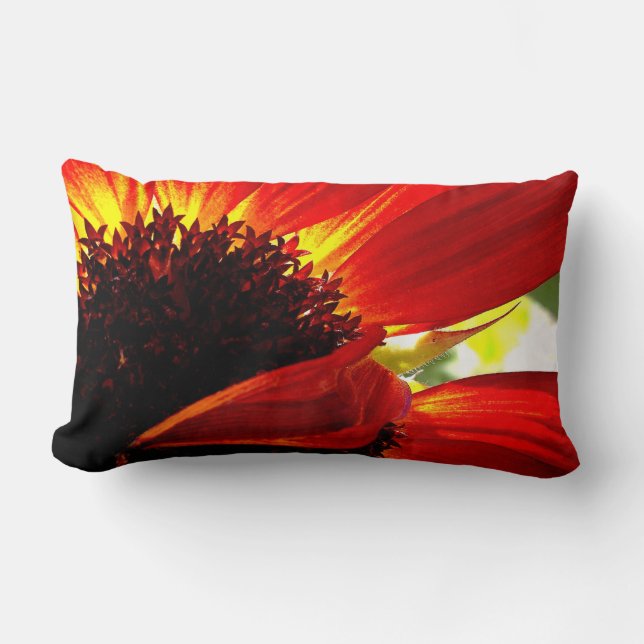 Coussin Rectangle Rouge Orange Gerbera Daisy Photo Bold Modern Desig (Recto)