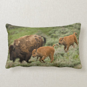 Coussin Rectangle Ruée de vallée de Lamar mini