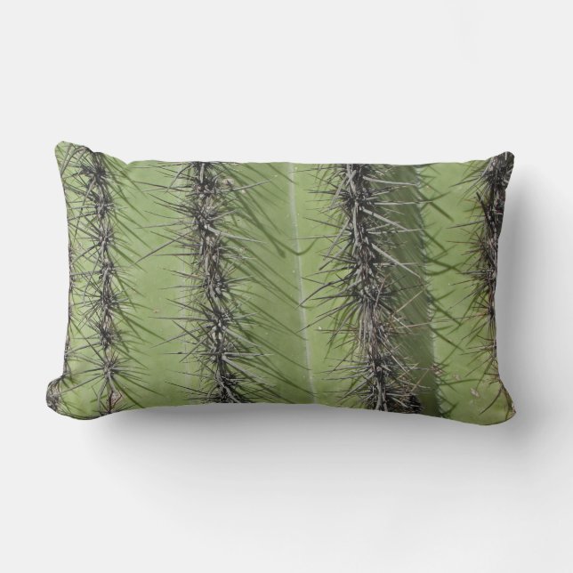 Coussin Rectangle Saguaro Cactus Photo Désert Plante Sud-ouest (Recto)