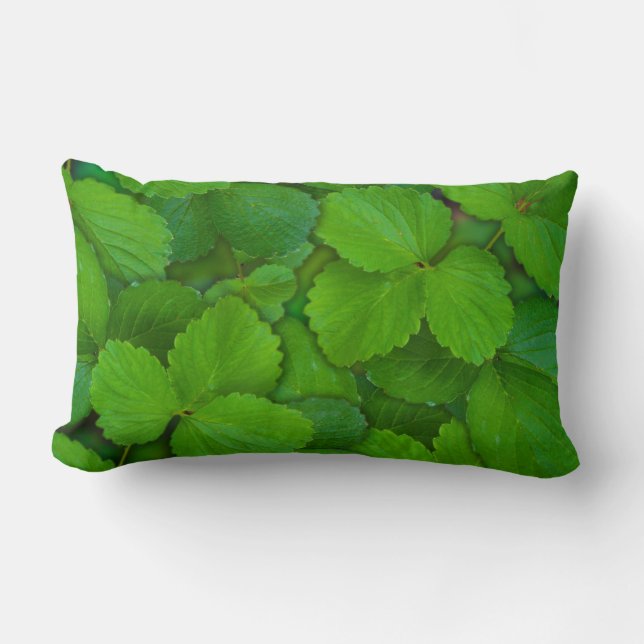 Coussin Rectangle Saint Basil Tulsi Green Mint Feuilles (Recto)
