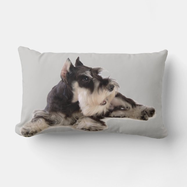 COUSSIN RECTANGLE SCHNAUZER GÉANT (Recto)
