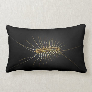 Coussin Rectangle Scutigera Coleoptrata de centipède de Chambre