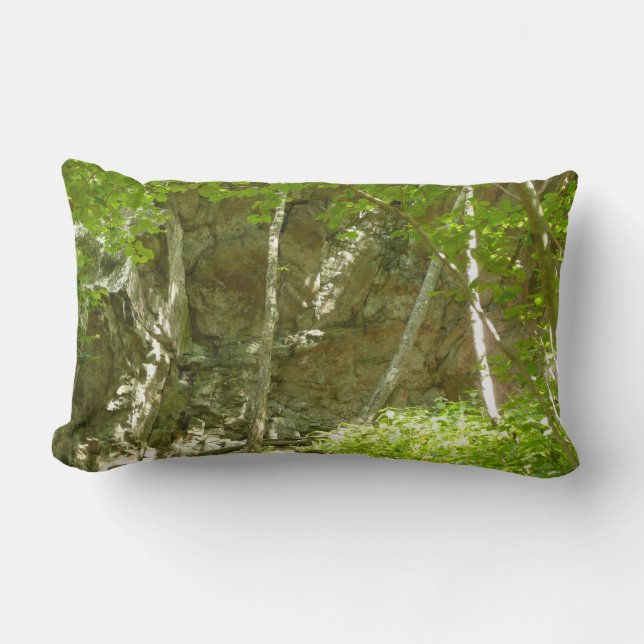 Coussin Rectangle Sentier de découverte de Frazier à Shenandoah Phot (Recto)