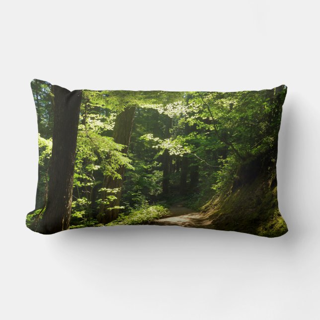 Coussin Rectangle Sentier depuis Silver Falls (Recto)
