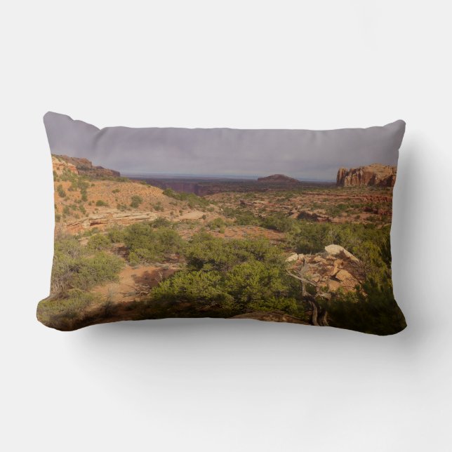 Coussin Rectangle Sentier Neck Springs dans le parc national de Cany (Recto)