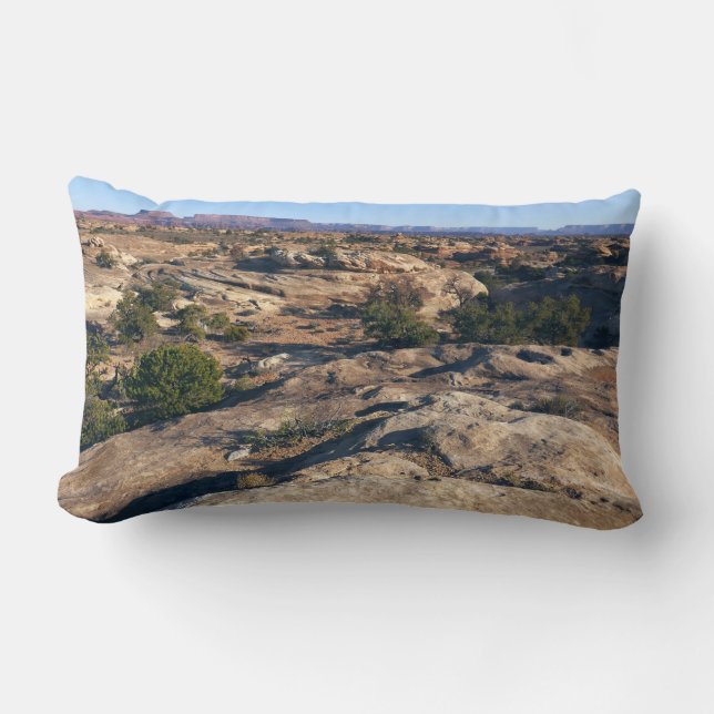 Coussin Rectangle Sentier Pothole Point à Canyonlands National Park (Recto)