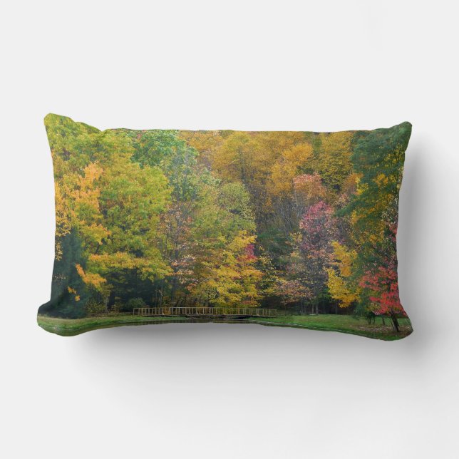 Coussin Rectangle Sept Sources Pont de la Cascade II Paysage d'autom (Recto)