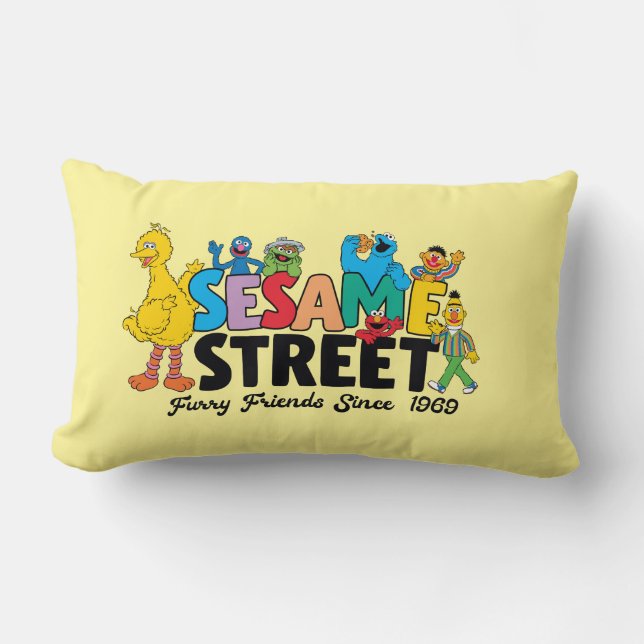 Coussin Rectangle Sesame Street | Amis fourrures depuis 1969 (Recto)
