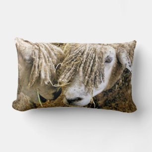 COUSSIN RECTANGLE SHEEP