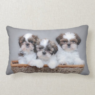 Coussin Rectangle Shih Tzu puppies