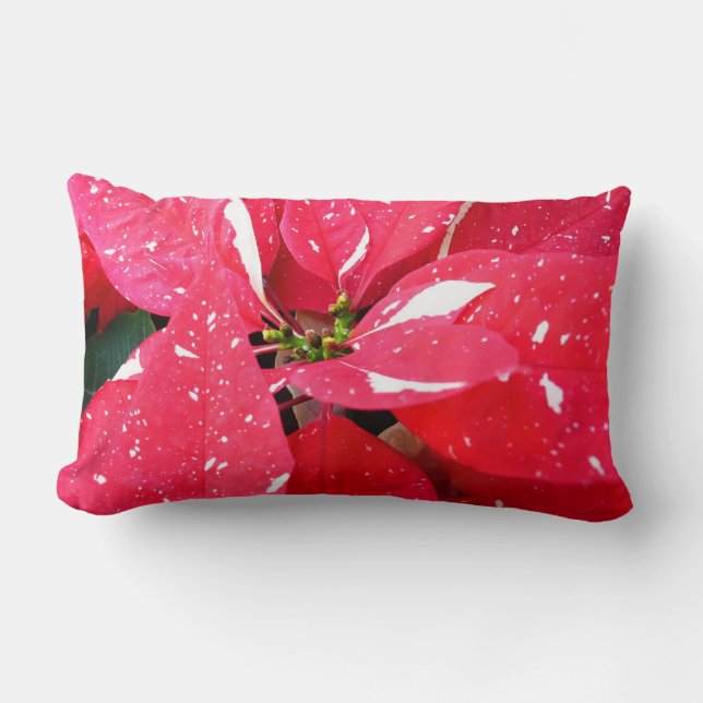 Coussin Rectangle Shimmer Star Surprise Poinsettia vacances Florale (Recto)