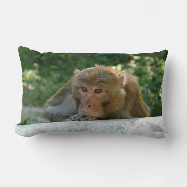Coussin Rectangle Singe - Grand-père (Recto)