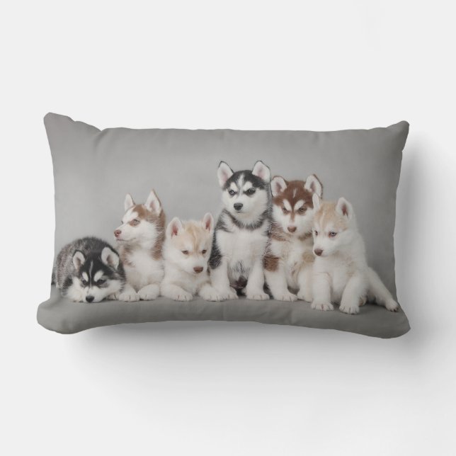 Coussin Rectangle Six huskies (Recto)