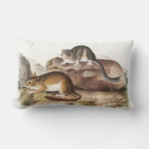 Coussin Rectangle Souris Neotoma des Rocheuses (Neotoma Drummondii)