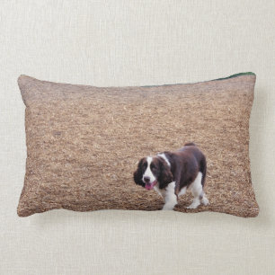 Coussin Rectangle Springer spaniel espiègle