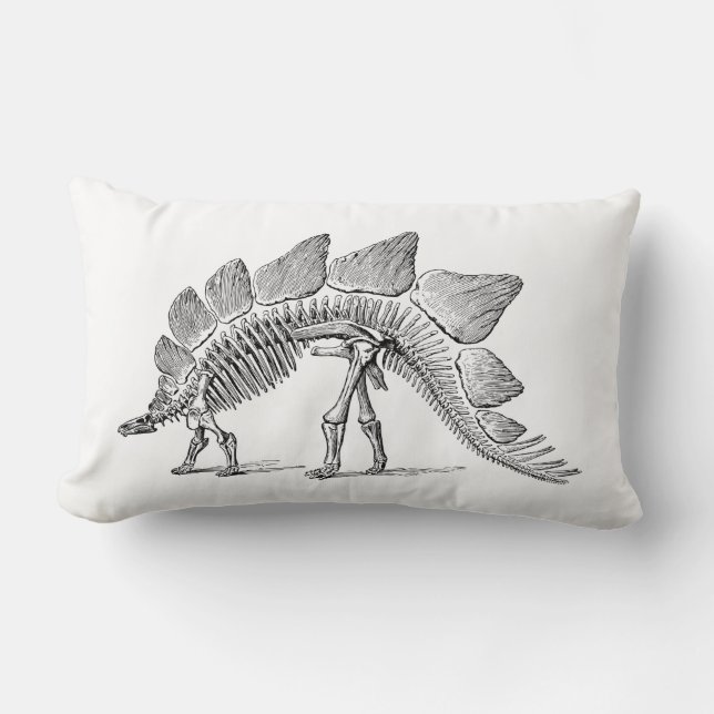 Coussin Rectangle Stegosaurus Dinosaure Squelette Fossile (Recto)