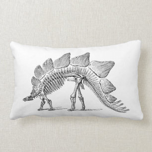 Coussin Rectangle Stegosaurus Dinosaure Squelette Fossile