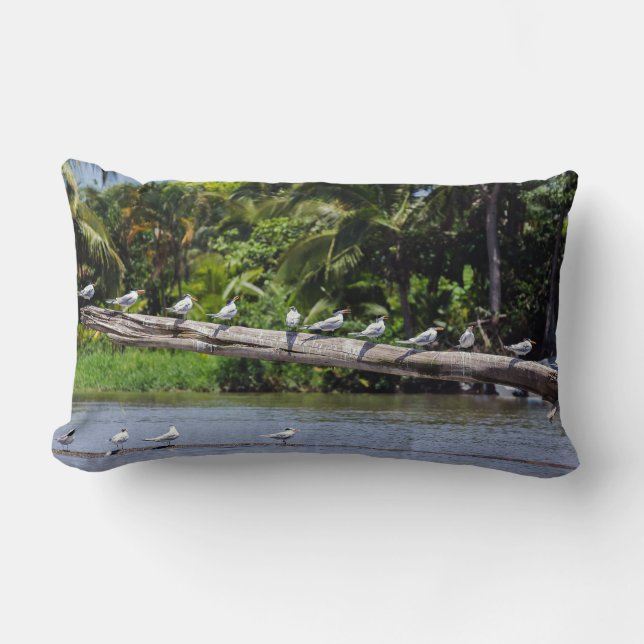 Coussin Rectangle sternes royales, estuaire du fleuve Tortuguero - C (Recto)