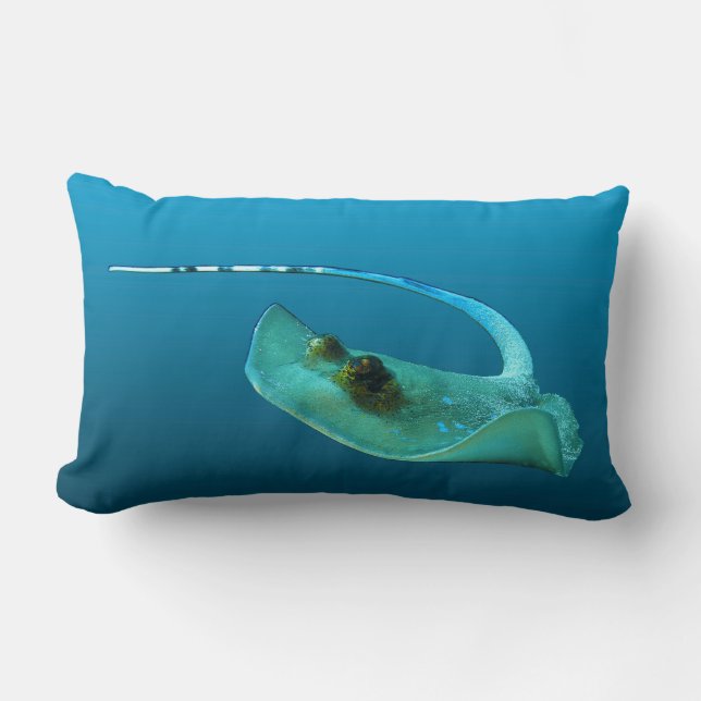 Coussin Rectangle Stingray en mouvement ! Arrière - plan bleu dégrad (Recto)